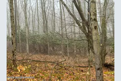  Lookout Point Rd, Lot 91, Canadensis, PA 18325 - Photo 3