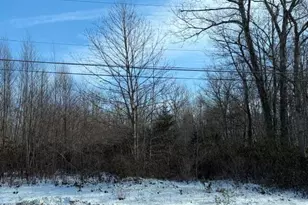 B27 W Clarke South Ln, Jim Thorpe, PA 18229 - Photo 1