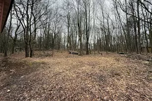 176 Birch Dr, Blakeslee, PA 18610 - Photo 17