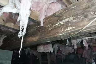 2108 Fox Rd, Bushkill, PA 18324 - Photo 67