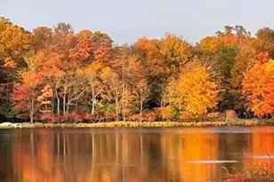 46 Poplar Dr, Albrightsville, PA 18210 - Photo 49