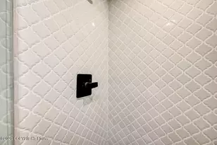 146 Chapman Cir, Albrightsville, PA 18210 - Photo 57