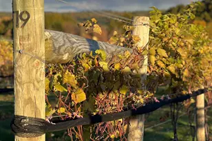 1212 Burger Hollow Rd, Effort, PA 18330 - Photo 23