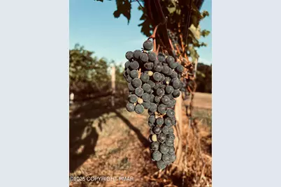  1212 Burger Hollow Road, Effort, PA 18330 - Photo 127