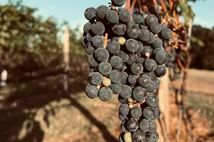 1212 Burger Hollow Rd, Effort, PA 18330 - Photo 127