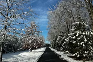 1212 Burger Hollow Rd, Effort, PA 18330 - Photo 131