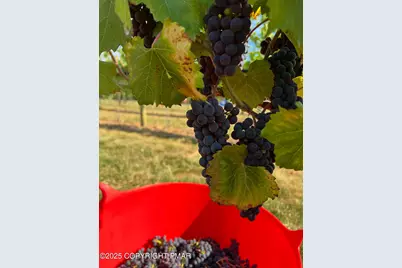  1212 Burger Hollow Road, Effort, PA 18330 - Photo 129