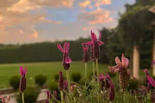 1212 Burger Hollow Rd, Effort, PA 18330 - Photo 21