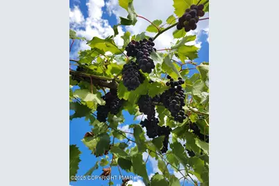  1212 Burger Hollow Road, Effort, PA 18330 - Photo 125