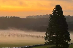 1212 Burger Hollow Rd, Effort, PA 18330 - Photo 85