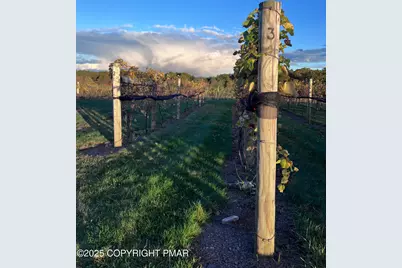  1212 Burger Hollow Road, Effort, PA 18330 - Photo 87