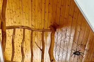 7639 Lake Shore Dr, Pocono Lake, PA 18347 - Photo 61