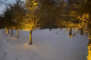 148 Sportsmans Trail, Stroudsburg, PA 18360 - Photo 9