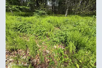  Dorshimer Ave, Blakeslee, PA 18610 - Photo 1