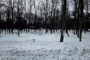 961 Stony Mountain Rd Lot Ev, Albrightsville, PA 18210 - Photo 1