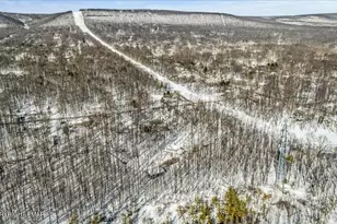 140 Alcott Ln, Effort, PA 18330 - Photo 53