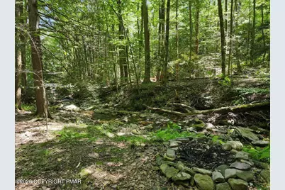  468 Devils Hole Road, Cresco, PA 18326 - Photo 31