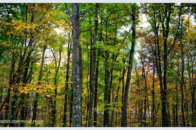  167 Hyland Drive, East Stroudsburg, PA 18301 - Photo 45