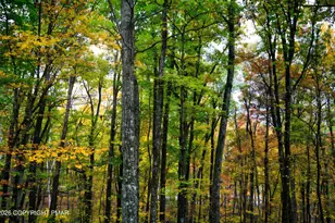 167 Hyland Dr, East Stroudsburg, PA 18301 - Photo 45