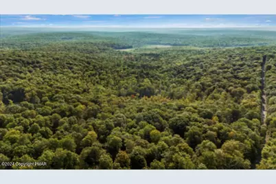  291 Deer Run Road, Pocono Lake, PA 18347 - Photo 3