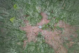 2205 Long Run Rd, Lehighton, PA 18235 - Photo 3