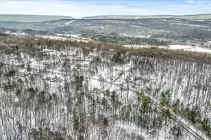 318 Ramblewood Dr, Saylorsburg, PA 18353 - Photo 55