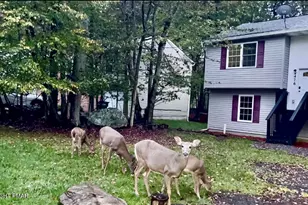 8440 Bear Trail Dr, Tobyhanna, PA 18466 - Photo 1