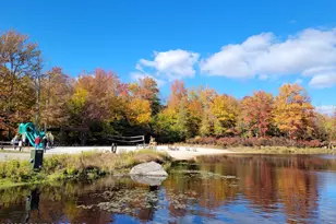 58 Locust Ln, Covington Township, PA 18424 - Photo 45