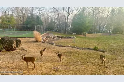 [Address not provided], Lake Harmony, PA 18624 - Photo 65