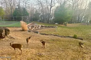 [Address not provided], Lake Harmony, PA 18624 - Photo 65