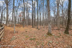 113 Hemlock Rd, Tannersville, PA 18372 - Photo 59