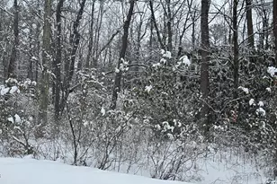 Beechwood Dr, Jim Thorpe, PA 18229 - Photo 1