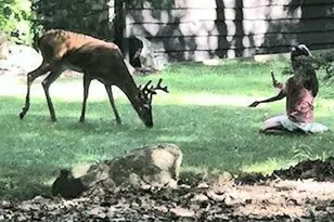 340 Moseywood Rd, Lake Harmony, PA 18624 - Photo 87