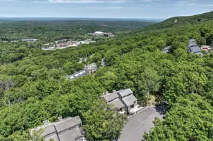 262 Overlook Way, Tannersville, PA 18372 - Photo 57