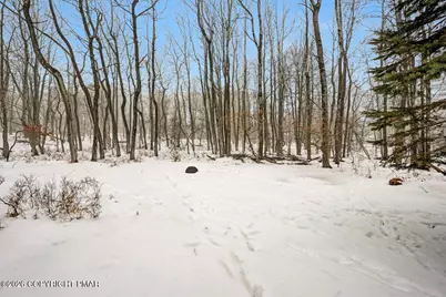  428 Cedar Drive, Long Pond, PA 18334 - Photo 59