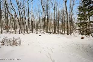 428 Cedar Dr, Long Pond, PA 18334 - Photo 59