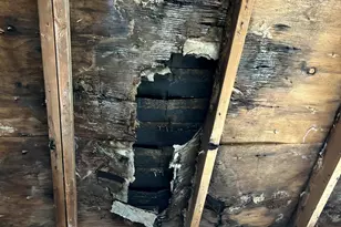 106 Dogwood Rd, Dingmans Ferry, PA 18328 - Photo 15