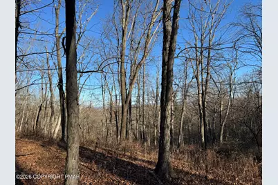  Bush Ct 3 Court, Stroudsburg, PA 18360 - Photo 7