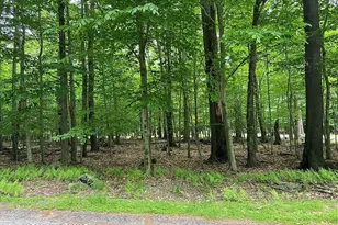 33L Cheyenne Trail, Gouldsboro, PA 18424 - Photo 17