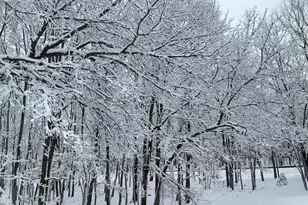 33L Cheyenne Trail, Gouldsboro, PA 18424 - Photo 7