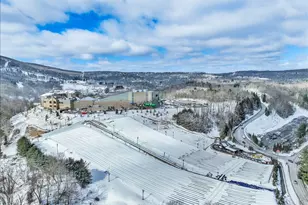 270 Big Pocono Pass, Tannersville, PA 18372 - Photo 73