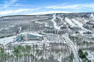 270 Big Pocono Pass, Tannersville, PA 18372 - Photo 91