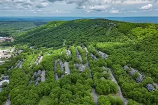 270 Big Pocono Pass, Tannersville, PA 18372 - Photo 59