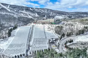 270 Big Pocono Pass, Tannersville, PA 18372 - Photo 75