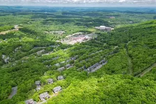 270 Big Pocono Pass, Tannersville, PA 18372 - Photo 57