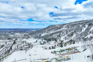 270 Big Pocono Pass, Tannersville, PA 18372 - Photo 89