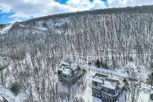 270 Big Pocono Pass, Tannersville, PA 18372 - Photo 85