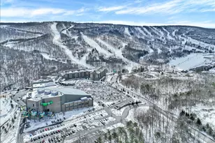 270 Big Pocono Pass, Tannersville, PA 18372 - Photo 93