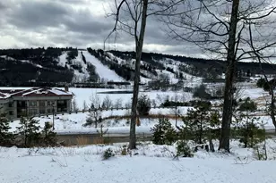 143 Moseywood Rd, Lake Harmony, PA 18624 - Photo 53