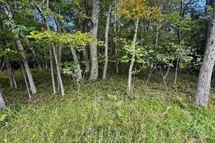 Lot # 14Ht Bear Ln, Jim Thorpe, PA 18229 - Photo 3